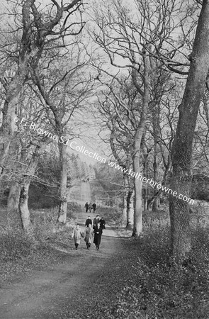 ST MARY'S VILLA DOG NOVICES ON WALK WINTER SUNSHINE